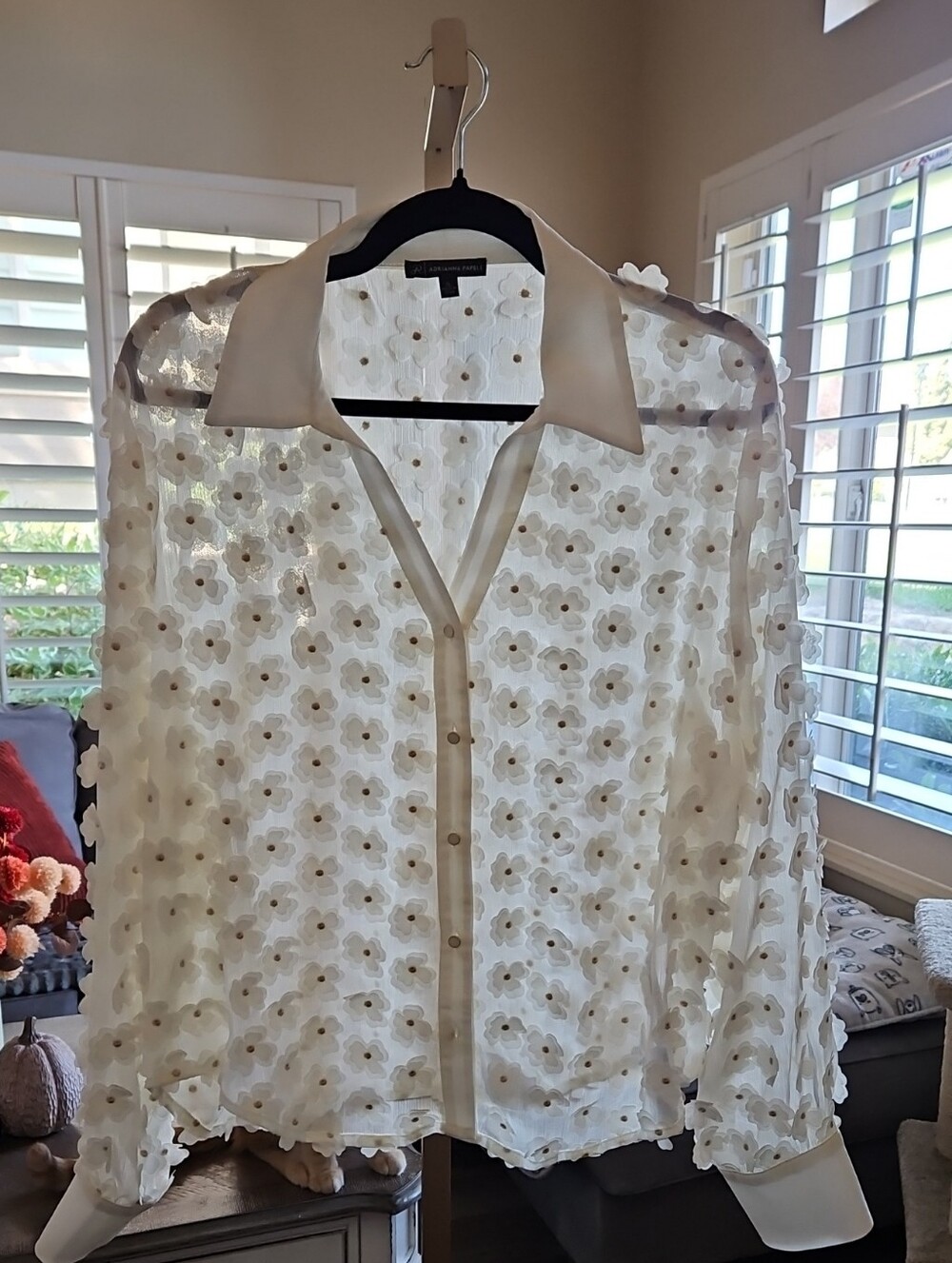 Adrianna Papell White Floral Appliqué Sheer Button-Up Blouse